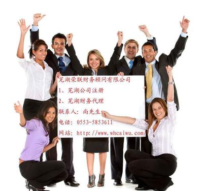 蕪湖企業(yè)財(cái)稅服務(wù)指南 代理記賬與財(cái)務(wù)代理詳解